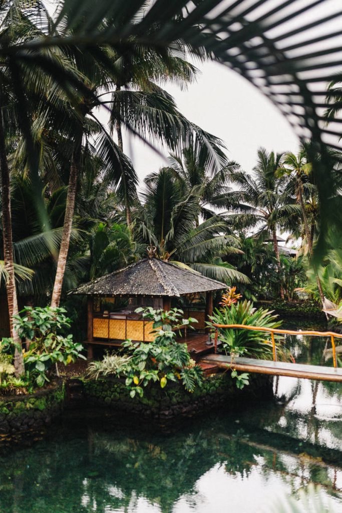 Hyundai’s Value Surges Amid Reports of Apple Electric Car Deal